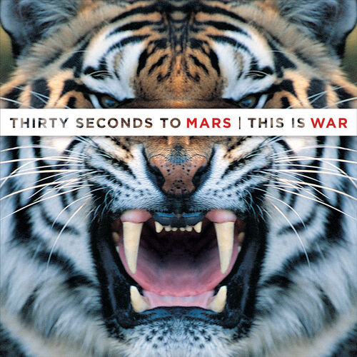 This Is War