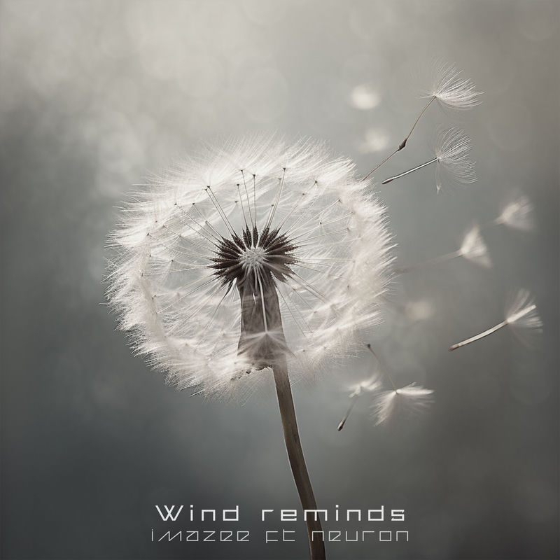 Wind Reminds
