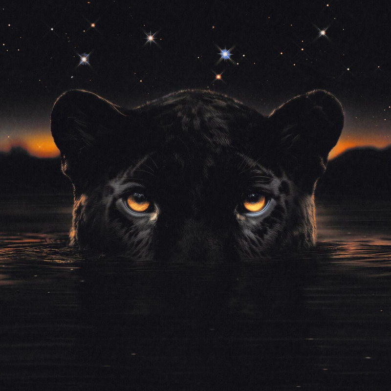 Don't Sleep (feat. Thundercat)