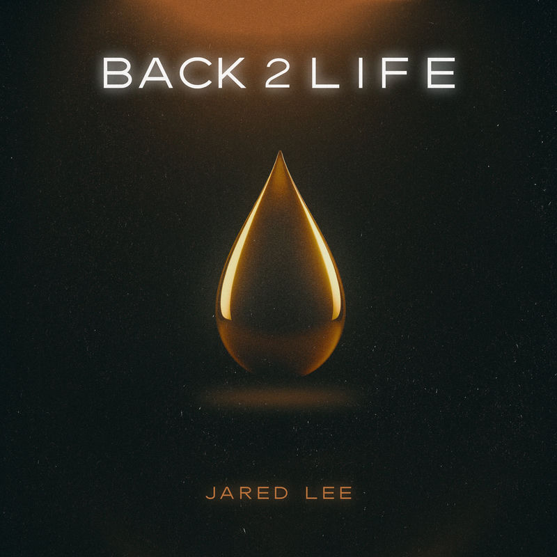 Back 2 Life