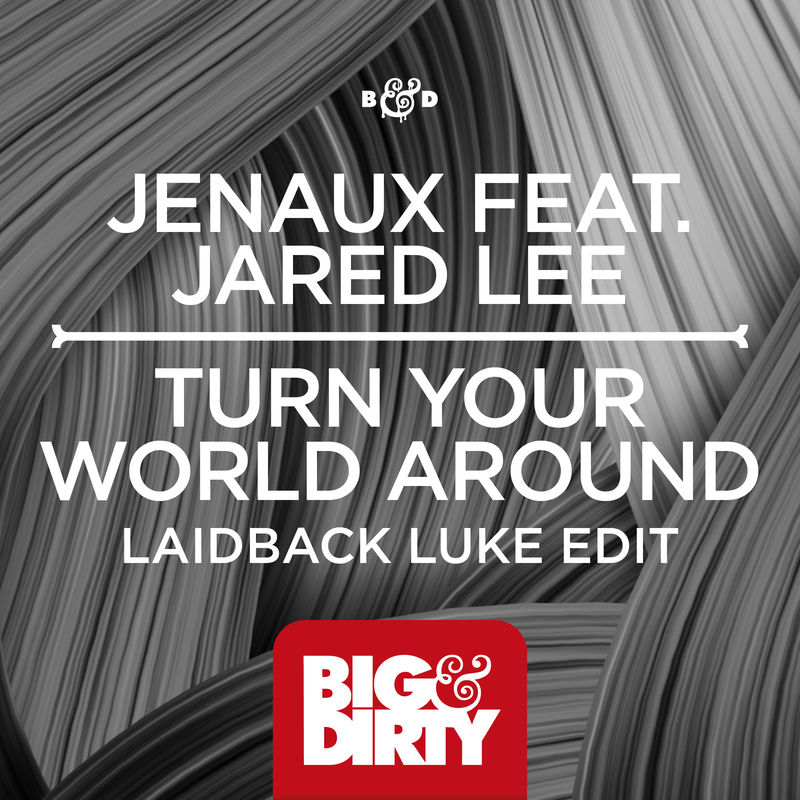 Turn Your World Around (Laidback Luke Radio Edit)