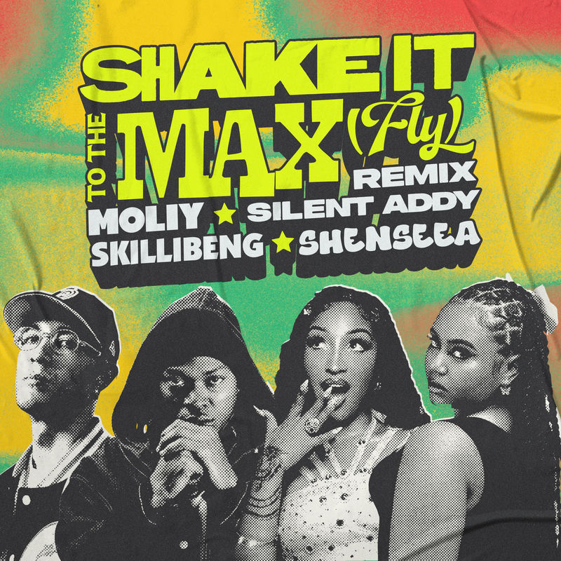SHAKE IT TO THE MAX (FLY) [REMIX]